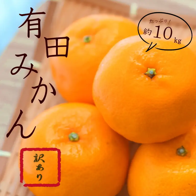 紀州有田みかん 約10kg 訳あり　キズ　御家庭用　サイズ混合 【sml110C】