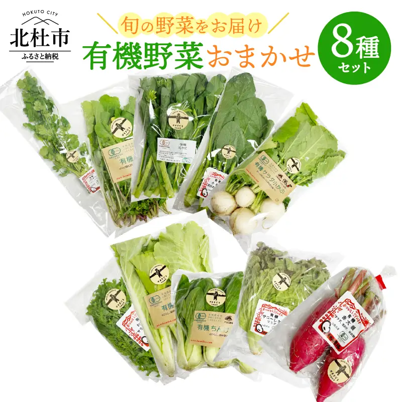 有機野菜おまかせ8種セット０７ 有機野菜 おまかせ 8種 セット 新鮮 九州屋ファーム 明野 山梨県 北杜市   [h216]