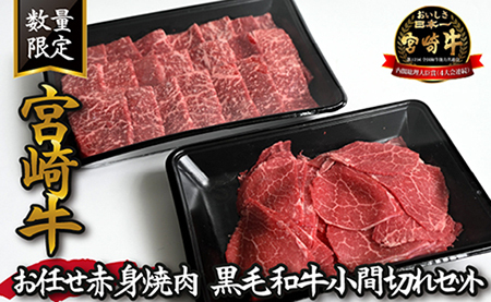 【特別提供品】宮崎牛お任せ赤身焼肉と黒毛和牛小間切れセット 計800g（国産 黒毛和牛 宮崎牛 ブランド牛 焼肉用 こま切れ）