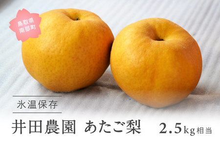 鳥取県南部町産　井田農園のあたご[梨]（2.5kg箱）＜11月下旬～出荷開始＞　氷温保存