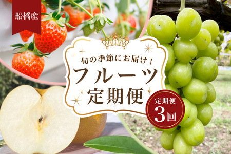 船橋産フルーツ定期便（3品目）　梨 豊水 シャインマスカット イチゴ エコチョク