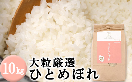岩手県産 大粒厳選 ひとめぼれ 精米 10kg 【雫石八十八屋】 大粒 厳選 米 こめ コメ お米 白米 ライス ごはん ご飯 弁当 10キロ １０ｋｇ 国産 産地直送 農家直送 数量限定 仕送り お取り寄せ 贈り物 自宅用 家庭用 こだわり おいしい 美味しい グルメ フード 人気 おすすめ