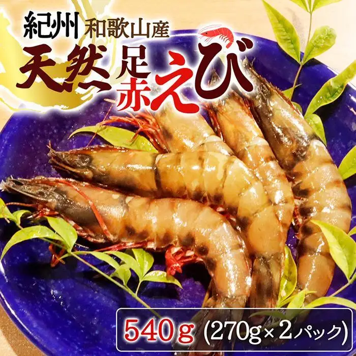 紀州和歌山産天然足赤えび540g（270g×2パック）　化粧箱入［2026年12月上旬頃から2027年2月上旬頃に順次発送］［UT23］