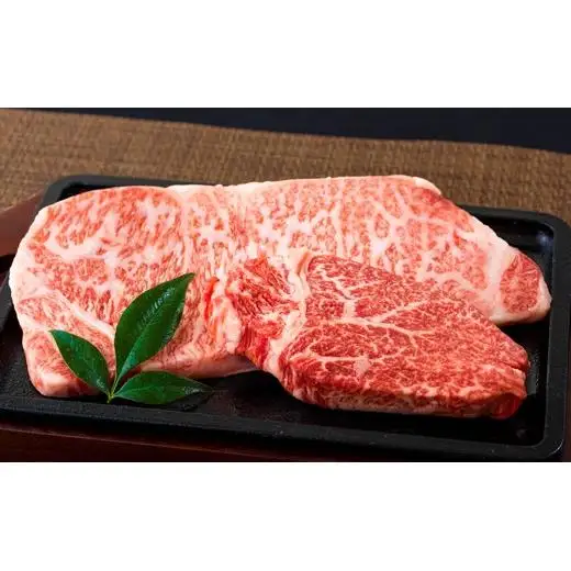 長崎和牛サーロイン･ヒレ食べ比べステーキセット