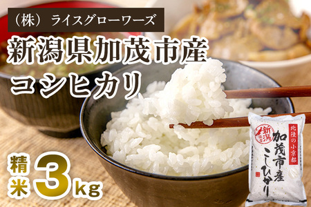 【令和8年産新米先行予約】新潟県 加茂市産コシヒカリ 精米3kg《10月上旬～順次出荷》 （株）ライスグローワーズ