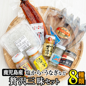 贅沢！志布志湾でとれた新鮮なミズイカ、ちりめんなどを使用した塩からに鹿児島産鰻など８種のセット b5-015