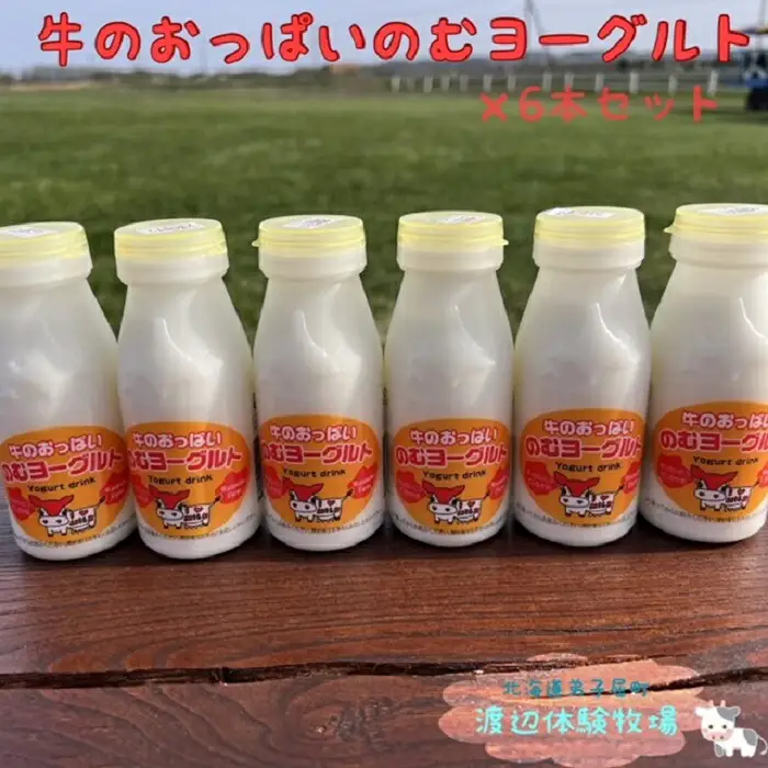 牛のおっぱいのむヨーグルト６本セット 1853