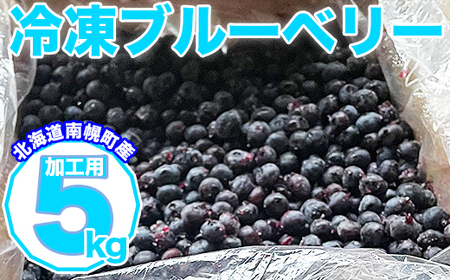 北海道産 たっぷり使える 冷凍ブルーベリー 5kg 加工用 大容量 無農薬栽培 南幌町 NP1-345