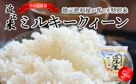 【令和7年度産】肥料屋厳選近江米ミルキークィーン５㎏　モリタ肥料店 お米 近江米 DI-0009
