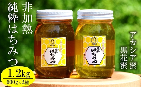 令和8年産・数量限定】国産 非加熱 純粋はちみつ 600g×2種類（アカシア