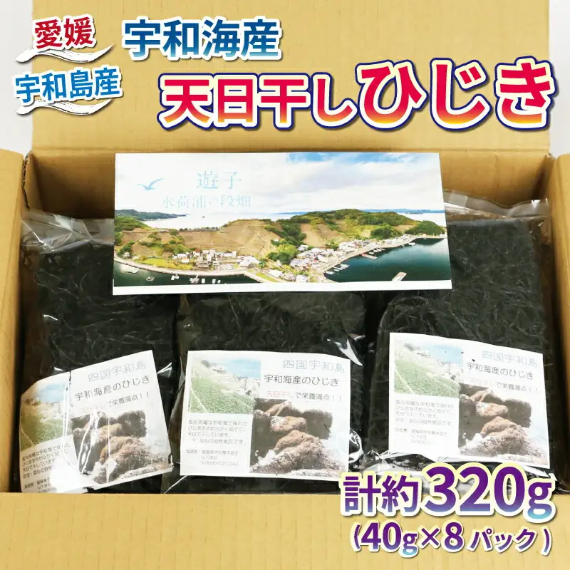 海藻 ひじき 宇和海産 天日干しひじき 320g NPO法人段畑を守ろう会 天然ひじき ひじき 海藻海藻海藻海藻 D010-051003