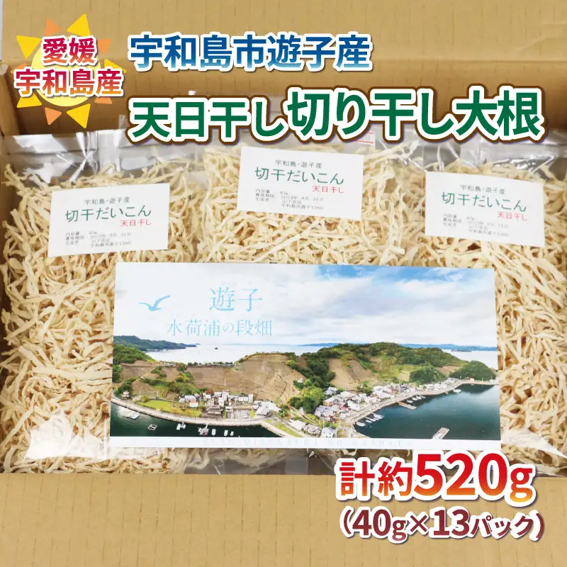 切り干し大根 小分け 520g NPO法人段畑を守ろう会 切干大根 天日干し 宇和島市遊子産 パック 大根 野菜 根菜 おかず 簡単 料理 農家直送 産地直送 数量限定 国産 愛媛 宇和島 F010-051004
