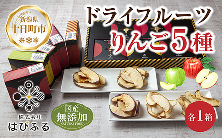 ドライフルーツ りんご 5種(シナノゴールド シナノスイート 紅玉 あいかの香り サンふじ)／乾燥りんご 林檎 リンゴ 無添加 砂糖不使用 国産 フルーツ ギフト お取り寄せ はぴふる 新潟県 十日町市 