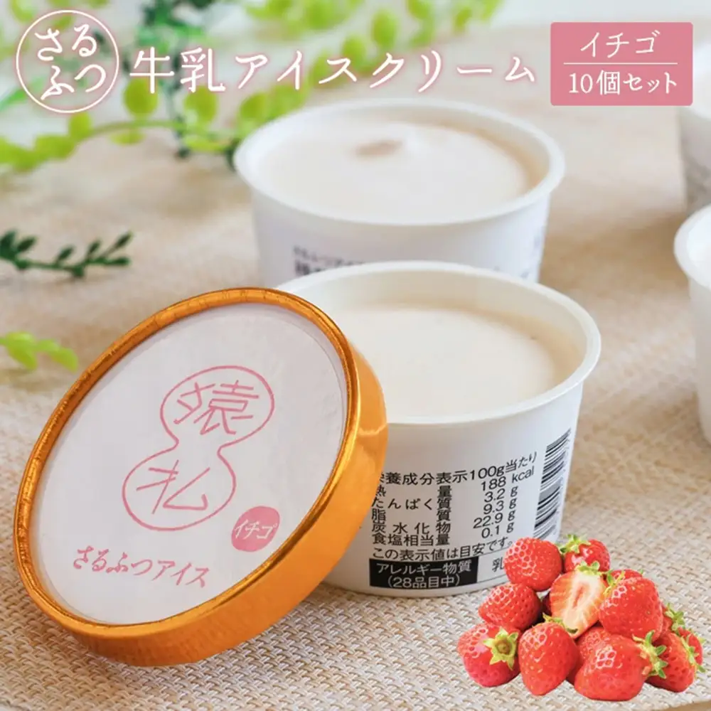 さるふつ牛乳アイスクリーム イチゴ10個セット【03031】