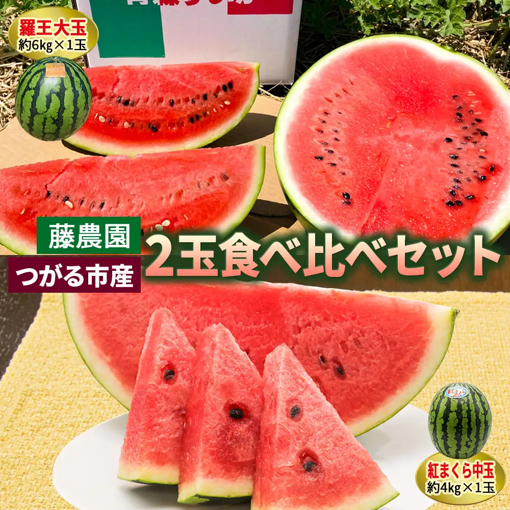 【先行予約】[羅王・紅まくら] スイカ 食べ比べ 2玉セット｜西瓜 [0620]