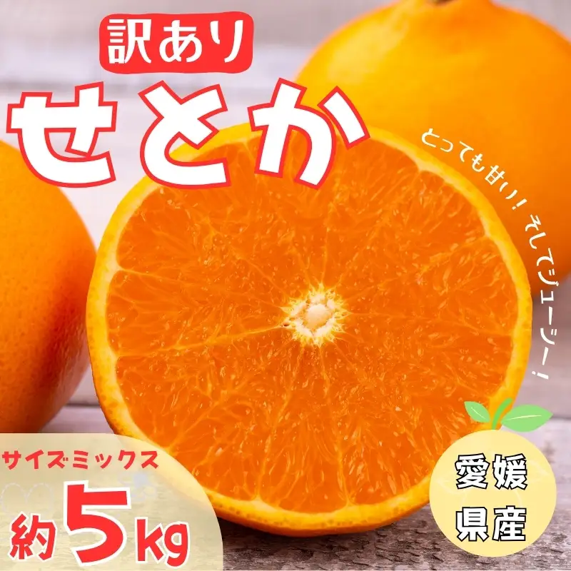 【2027年2月中旬より順次発送】訳あり せとか 5kg｜B146