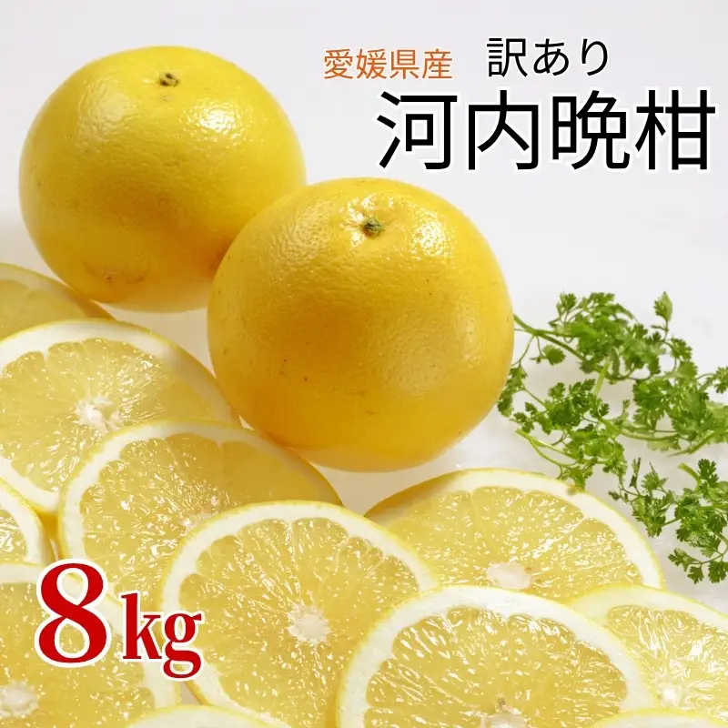 【2027年4月より順次発送】訳あり 河内晩柑 8kg｜B150
