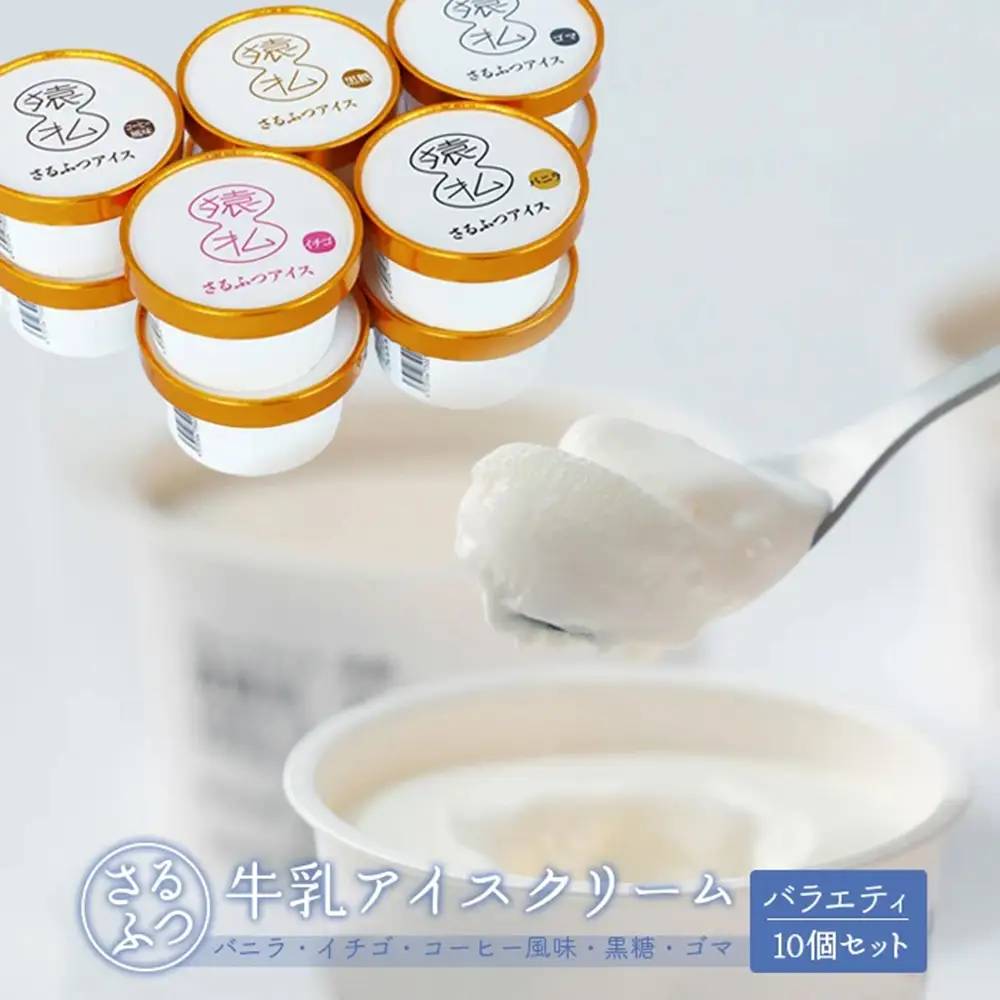 さるふつ牛乳アイスクリーム バラエティ10個セット【03032】