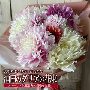 SL0213　とれたて「酒田のダリアの花束」　