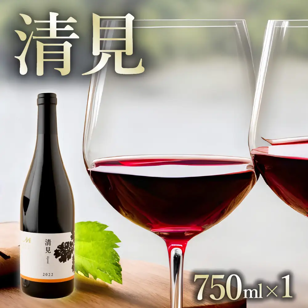赤ワイン：清見  750ml×1本(箱入) 北海道 十勝 芽室町me032-044c