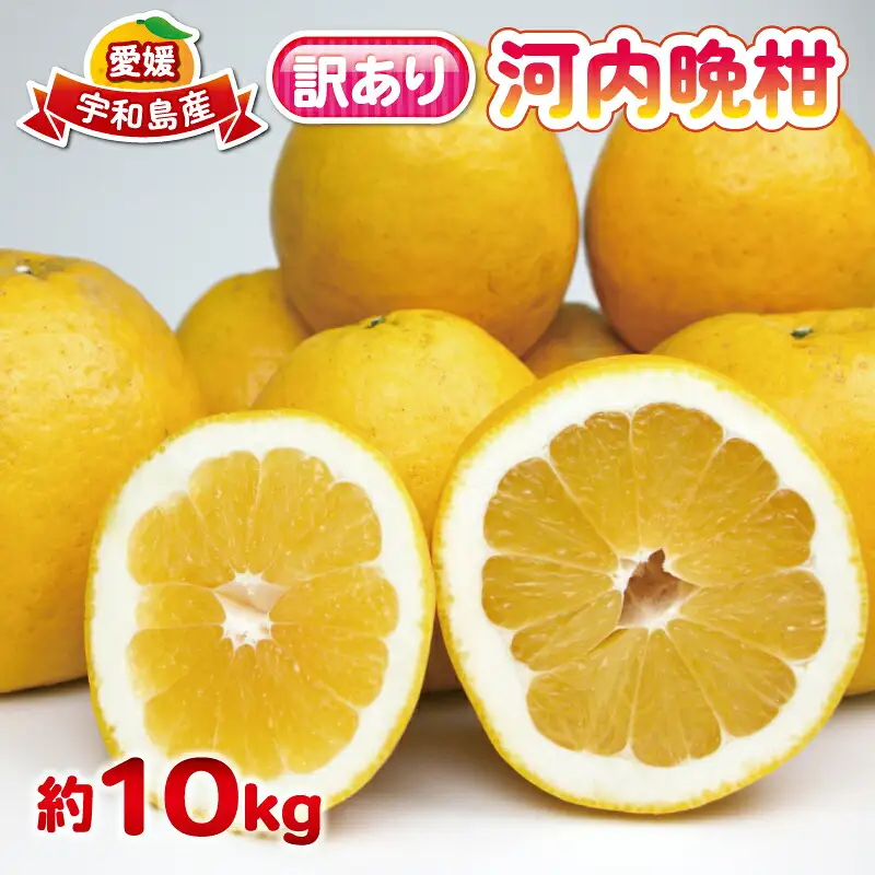 初夏の柑橘 訳あり 河内晩柑 みかん 10kg 杉本屋 柑橘 B010-143001