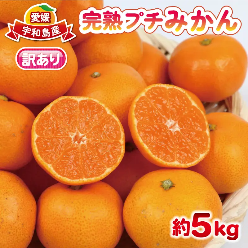 【ご家庭用】完熟プチみかん約5kg杉本屋 | みかん B010-143003