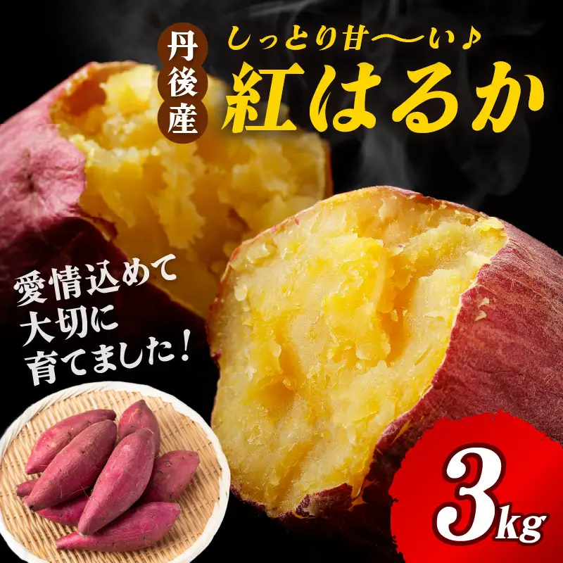 【先行予約】丹後産　さつまいも　紅はるか3kg　2027年3月中旬～配送　お野菜 野菜 正規品 ふるさと納税 さつまいも ふるさと納税 紅はるか べにはるか 甘い