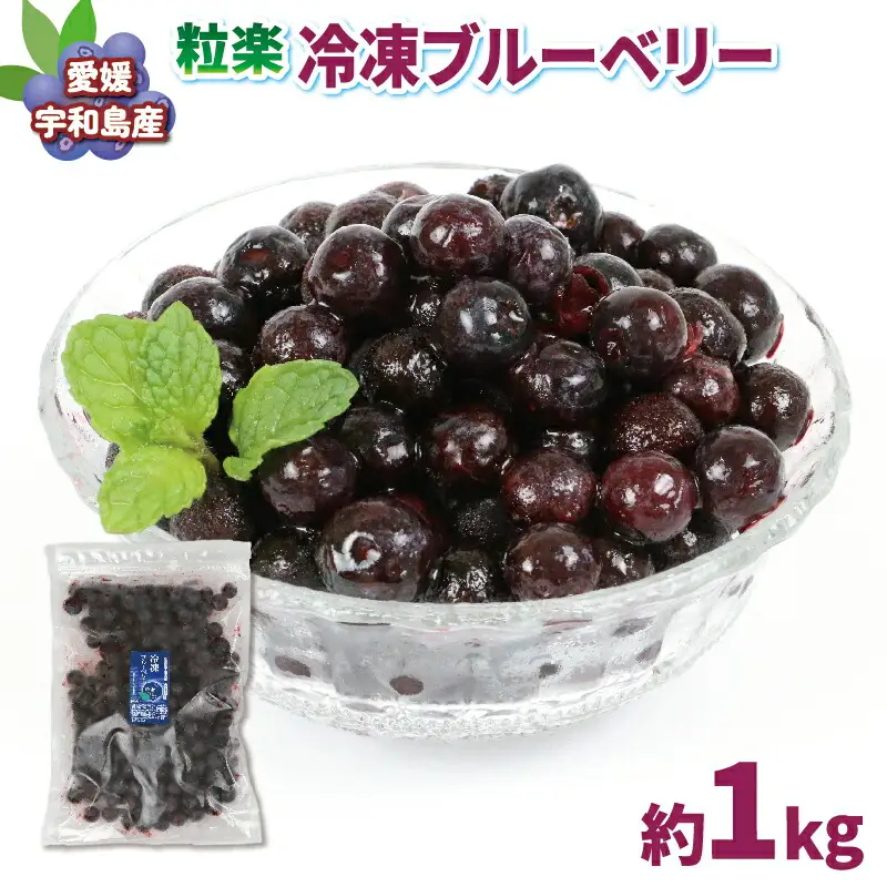 ブルーベリー 1kg(500g×2袋) 粒楽 南四国ファーム 冷凍 フルーツ ベリー 果物 J013-035014