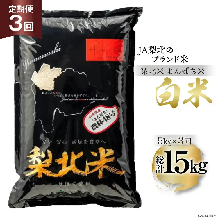 【定期便】【3回 米 定期便 】 梨北米 農林48号 5kg×3回 総計15kg