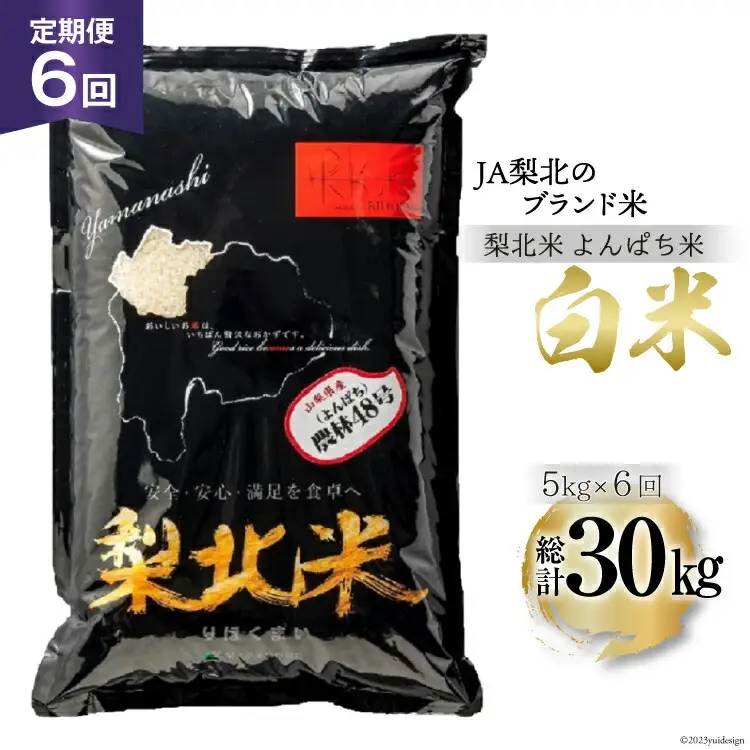 【定期便】【6回 米 定期便 】梨北米 農林48号 5kg×6回 総計30kg