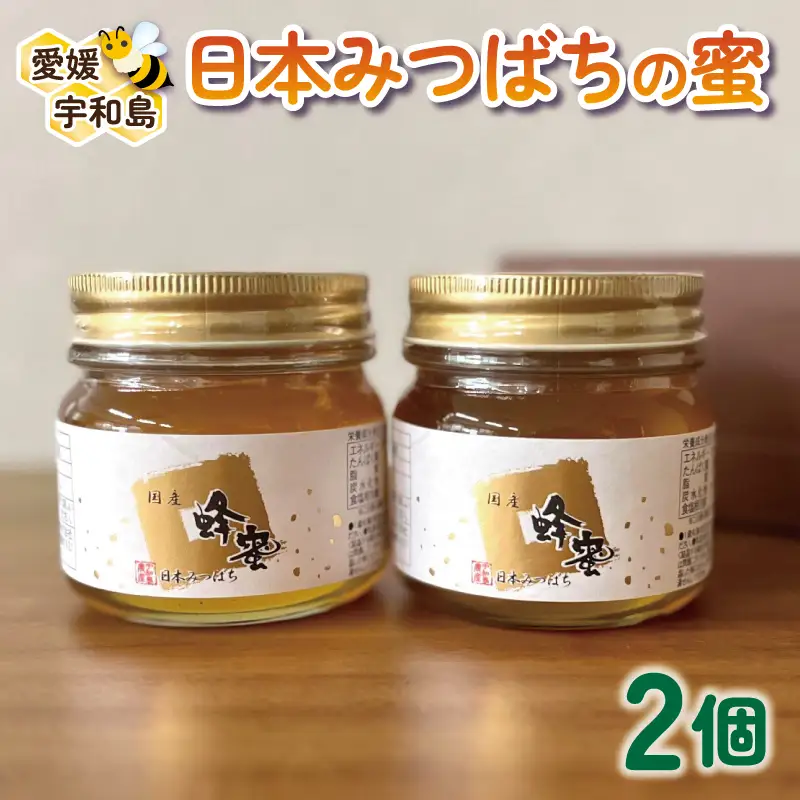 はちみつ 日本みつばちの蜜 2個 宇和島農産 国産 はちみつ│F020-132002