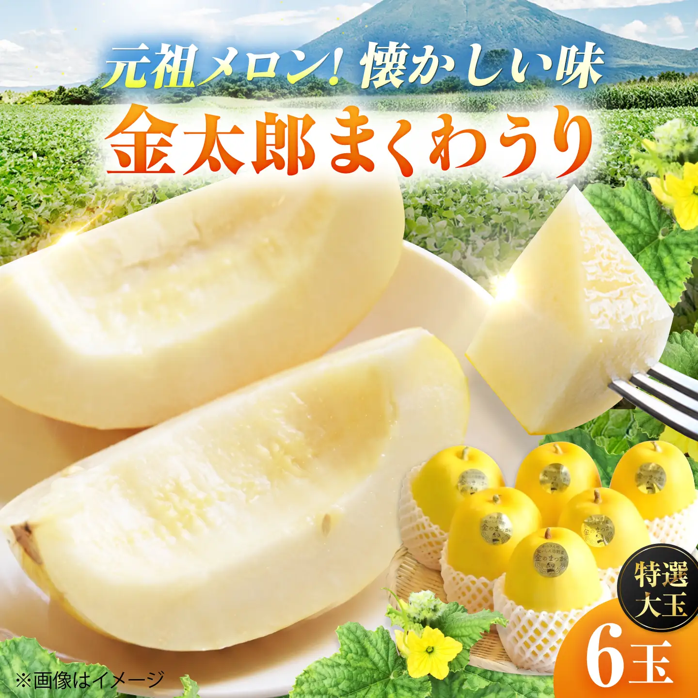【2027年7月下旬より順次発送】旬の野菜 金のまっか便 （栽培期間中、農薬・化学肥料・動物性堆肥不使用）/ まくわうり セット 詰め合わせ 新鮮 野菜 旬 / 滋賀県 栗東市 / ワダケン リアルソイルハウス [BIBM005]