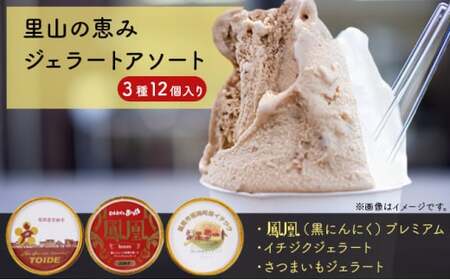 里山の恵みジェラートアソート3種12個入り スイーツ ひんやり 食べ比べ ジェラートセット 詰め合わせ にんにく 濃厚 さつまいも 滑らか食感 いちじく 野菜 フルーツ  FAD-1048
