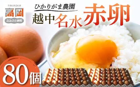 【越中名水赤卵】80個 ひかりがま農園 たまご 富山県高岡市 鶏卵 食材 超濃黄色 たまごかけご飯 オムレツ 卵料理 玉子焼き 目玉焼き おかず  FAD-1172