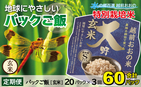 【3ヶ月定期便】パックご飯 150g ×20食 ×3回 玄米 減化学肥料｜地球にやさしい パックご飯