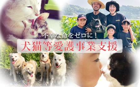 【返礼品なし】【犬猫等愛護活動 犬と猫と人にとって住みよい社会づくりを応援】宮崎県 高原町 特定非営利活動法人 咲桃虎(さくもんと)　TF3000-P00056