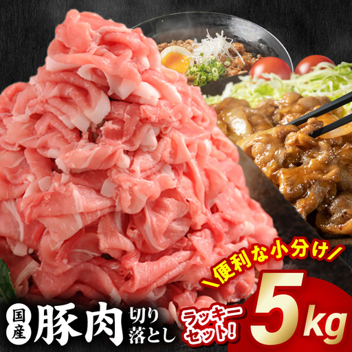 国産豚肉切り落とし5kgラッキーセット〔19-3601〕豚肉 _(都城市) 250g