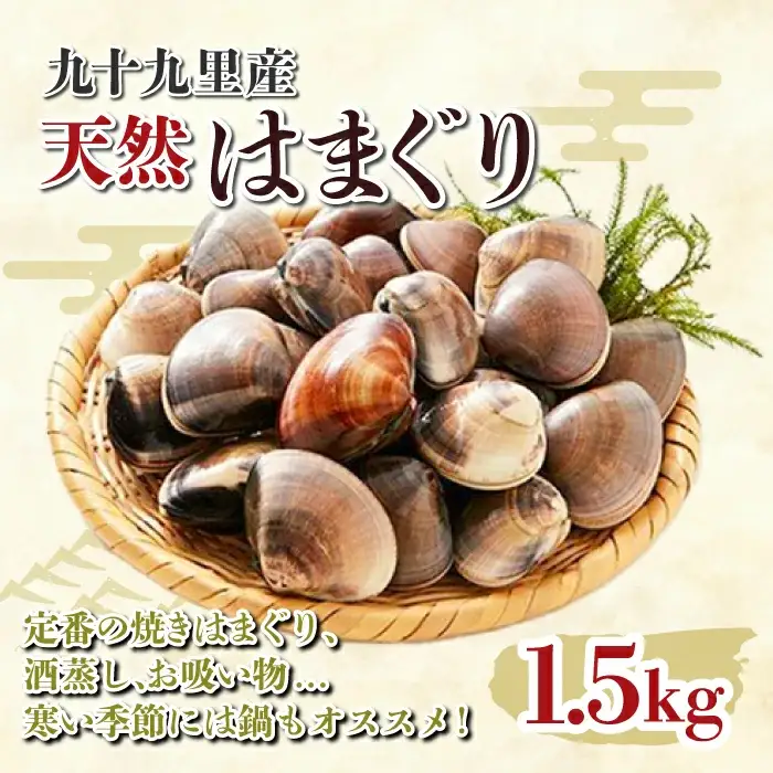 九十九里産 大粒 天然はまぐり1.5kg SHF001 ／ 絶品天然はまぐり 万能食材天然はまぐり 九十九里産天然はまぐり 蛤 ハマグリ海鮮 貝 貝類
