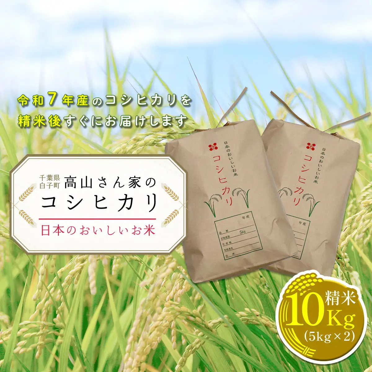 令和７年産＜高山さん家のお米＞千葉県産コシヒカリ＜精米＞10kg(5kg×2)  SHH002