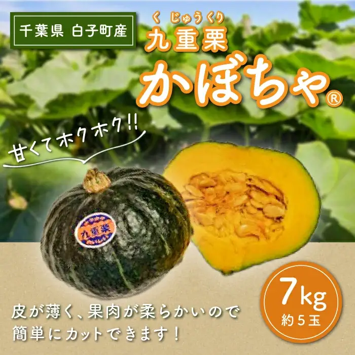 【令和８年の先行予約募集・数量限定】九重栗かぼちゃ 7kg SHI004
