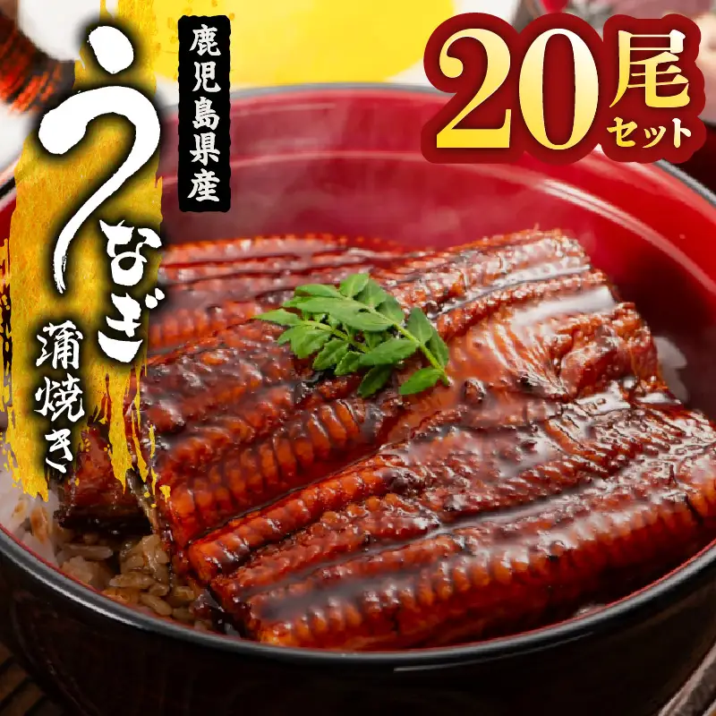  2122 鹿児島県産 うなぎ蒲焼 20尾 KN058-002-20 魚 冷凍 鰻