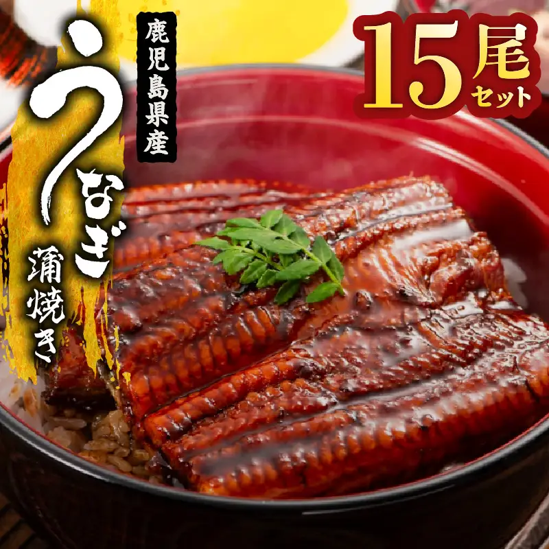  2123 鹿児島県産 うなぎ蒲焼 15尾 KN058-002-15 魚 冷凍 鰻