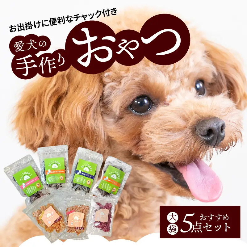愛犬の手作りおやつ 大袋5点セット　全犬種対象 鹿肉 ペット ペットフード ジャーキー チップス 詰め合わせ Wanfood BULAN DK-0004