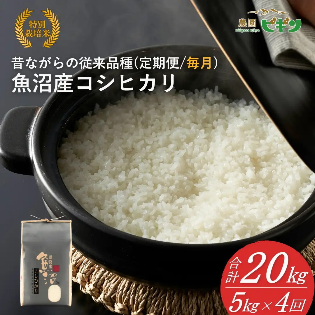 【令和8年産 先行予約】 昔ながらの魚沼産コシヒカリ 従来品種 定期便 20kg（5キロ×毎月全4回）農園ビギン | おこめ 特A評価 小千谷市 コシヒカリ