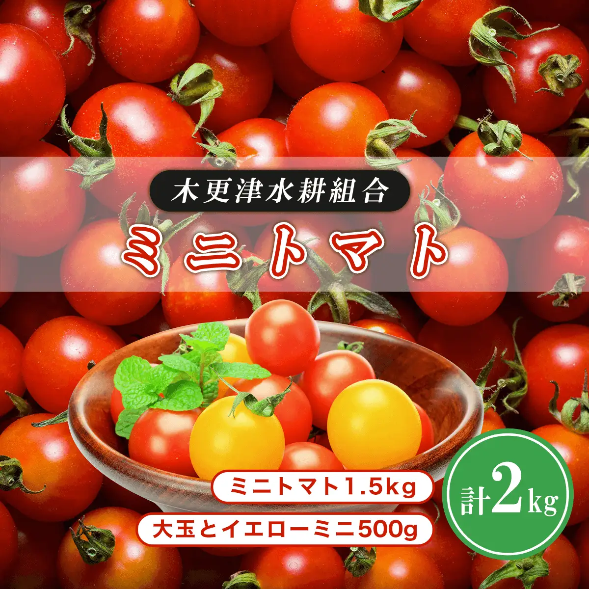 ミニトマト1.5kg　大玉とイエローミニ500g 計2kg＜木更津水耕組合＞KBD001