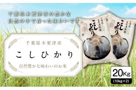 【令和6年産新米】千葉県木更津産こしひかり20kg（10kg×2）