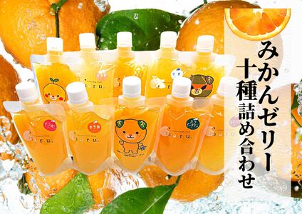 【ゼリー】 おまかせ10種 飲むみかんゼリー 詰め合わせ ｜愛媛県松山市【PT0322】