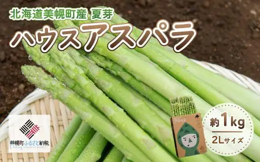 《令和8年産》夏芽 アスパラガス 2L 約1.0kg アスパラガス [発送7月]  AF016