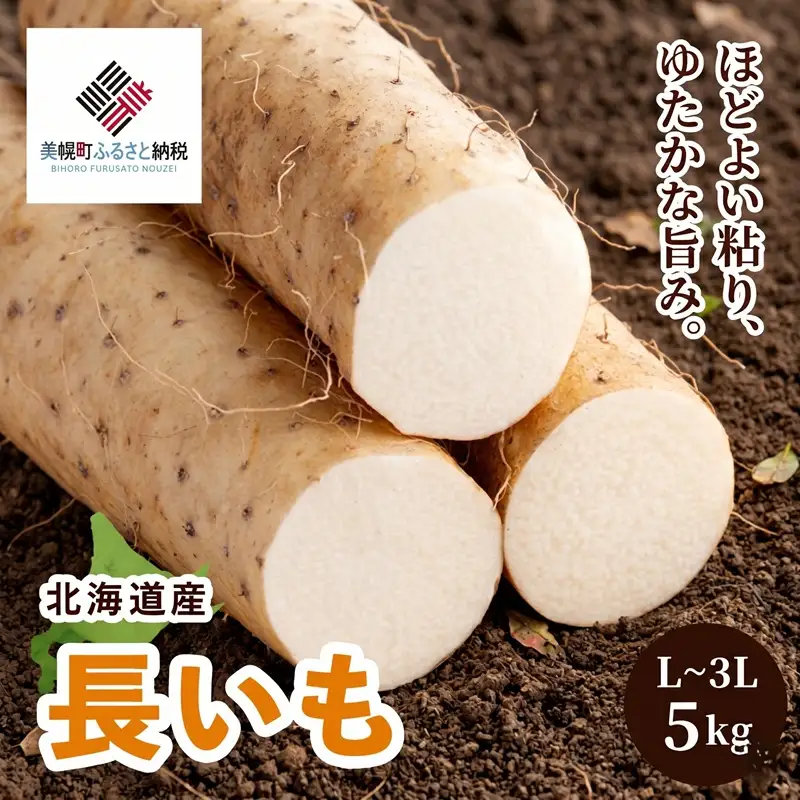 [先行受付]「数量限定」長いも・5kg【配送不可地域：離島】（2026年11月中旬より順次発送） AF037