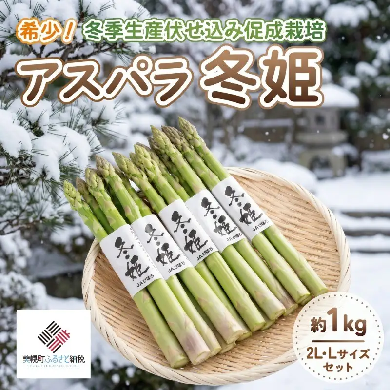 希少!冬季生産伏せ込み促成栽培アスパラ「冬姫」2L・Lセット　約1kg 【配送不可地域：離島】（2026年11月中旬より順次発送） AF069